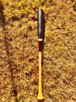 Birch Pro Reserve Warstic wood bat