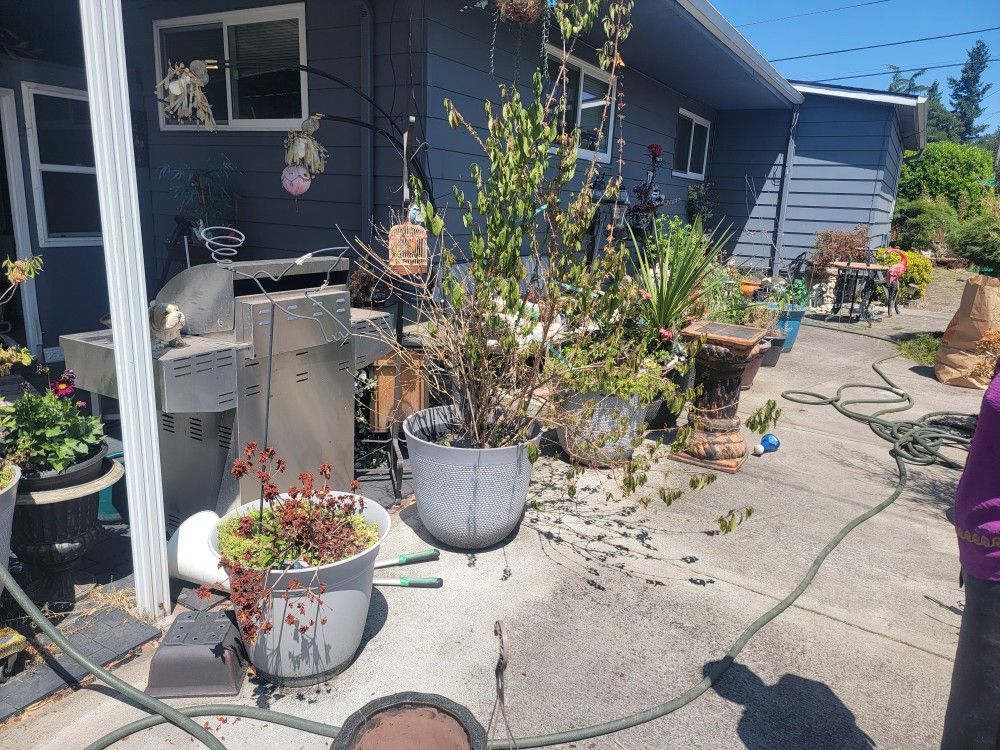 Free Plant Pots .