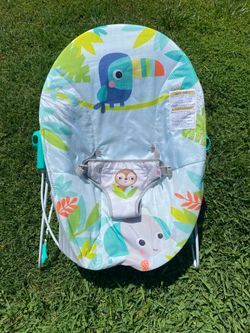 Baby Bouncer