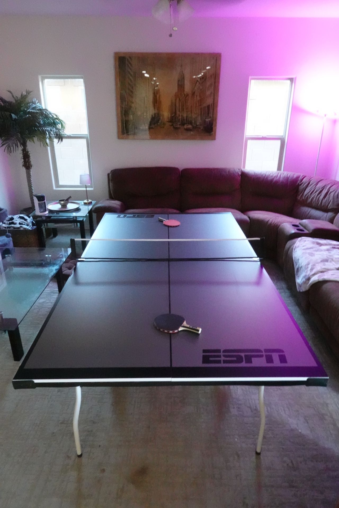 ESPN Ping Pong Table