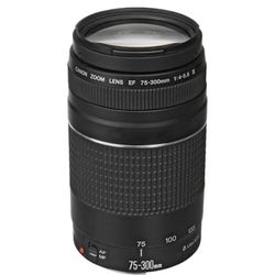 Canon EF 75-300mm f/4-5.6 lens