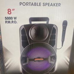 Portable Speaker