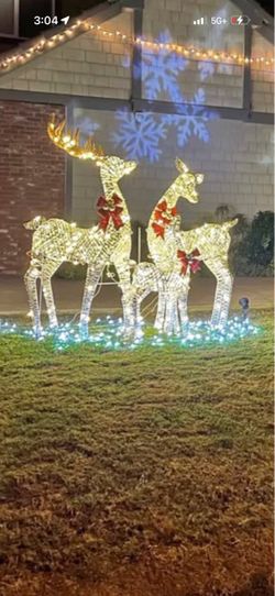 Lighted Outdoor Christmas Reindeer Decoration Set