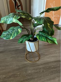 Fake plant and stand
