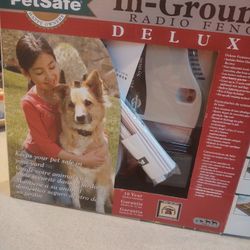 In Ground Dog Fence 