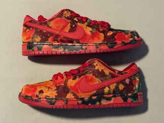 Nike SB Dunk Low Pro Wizard Of Oz Poppy Field 2024 Brand New DS