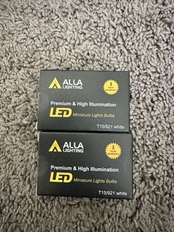 bulbs