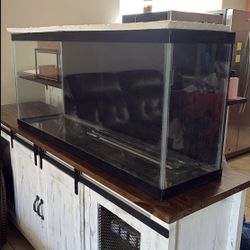 65 Gallon Tank