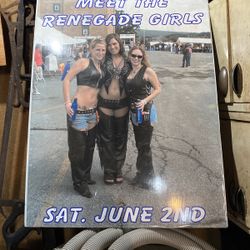 Poster Of The Budweiser Girls From The 90s