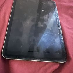 iPad Mini 6 Gen 256 GB 