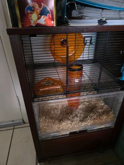 Hamster cage