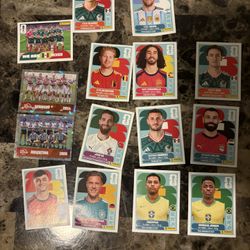 Panini World Cup 2026 Stickers