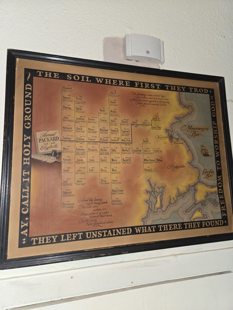 Antique Framed Map