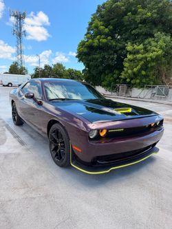 Ribuil