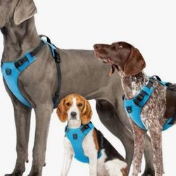 Dog Harness Leash Retractable Leash Fixed Leash Dog Chew Toys Bandana Bundle