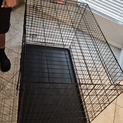 Dog Crate