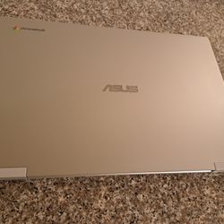 17.3" Asus CX1700CK-CL464 (2023)