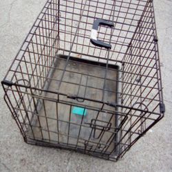 Dog Kennel 