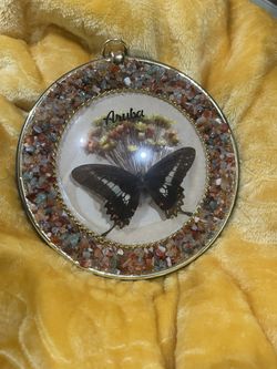 Vintage Aruba Framed Butterfly Souvenir