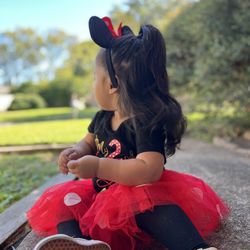 Minney Outfit 2nd Birthday
