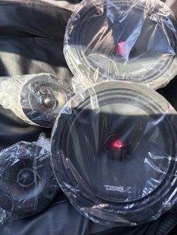 DS18 Pro Audio Speaker Package – Brand New, No Box 🔊