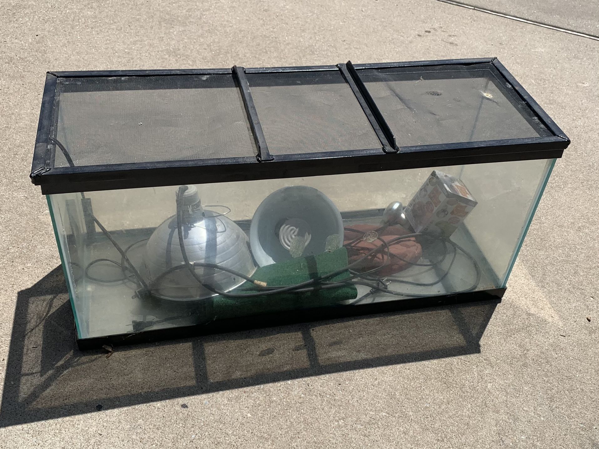 Reptile Terrarium