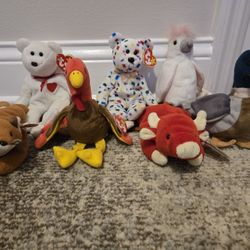 Beanie Babies