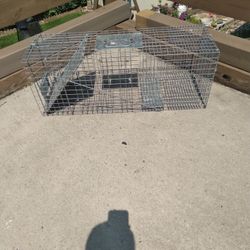 Catch And Release Animal Trap