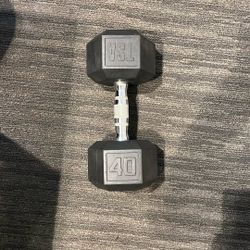  Dumbbell 40lbs