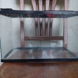 10 Gallon Fish Tank