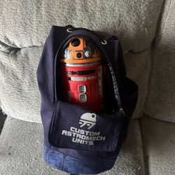 Starwars Custom Disneyland R2/D2 