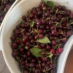 Fresh Cherrys