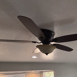 Ceiling Fan