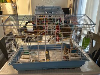 Bird Cage with Accessories