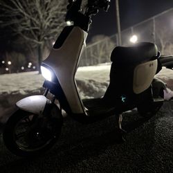 Electric Scooter 
