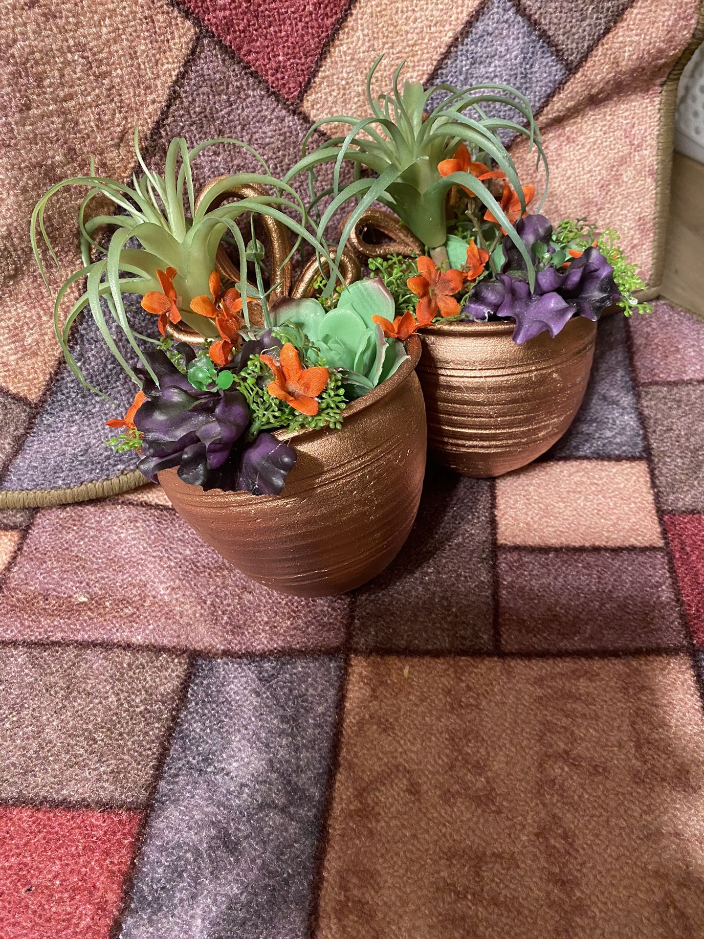Set Of Two Succulents 