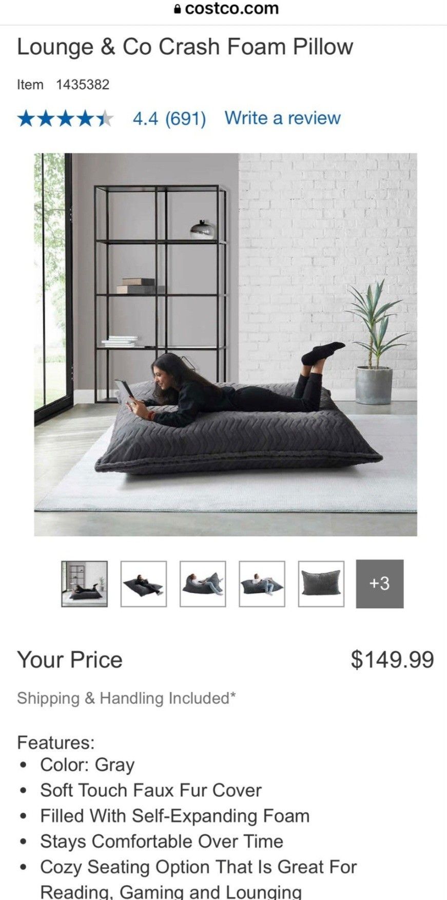Costco Crash Foam Floor Pillow