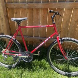 Single speed mountain bike