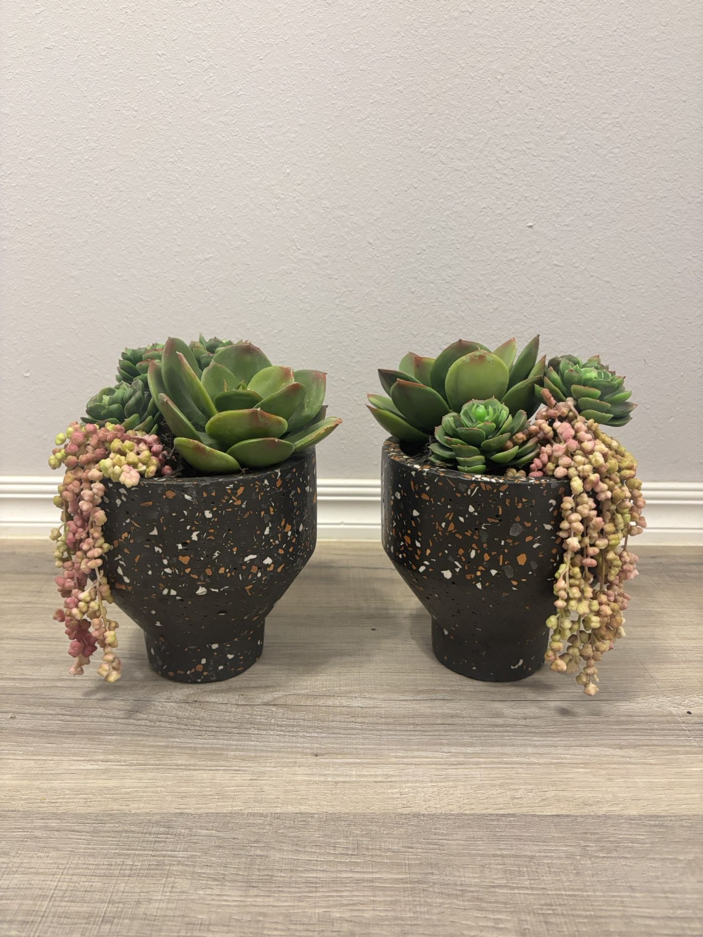 2 Succulent Plant Decor