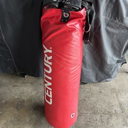 Punching Bag And Gloves 