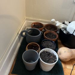 Plant Pots - Variety