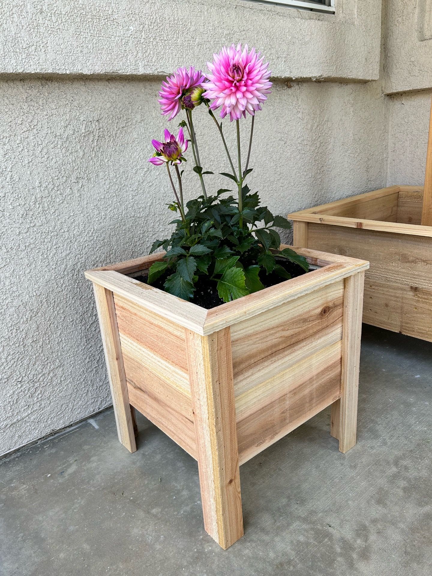 Square Planter Boxes π₯¦π
πΆοΈπΌ