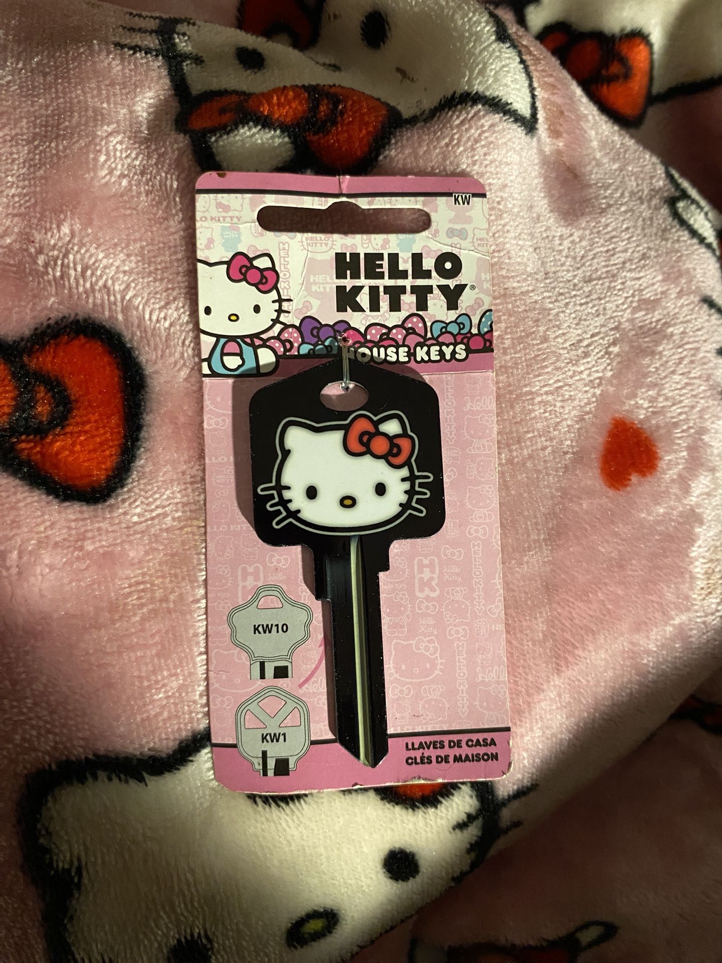 Hello Kitty House Key / Room Key