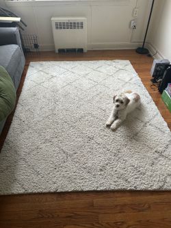 Shag Area Rug - Ivory/Beige (6’ x 8’) - MOVE OUT SALE