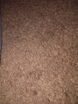 DeWalt 1000 Watt Power Bank