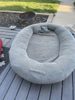 Xxl Dog bed