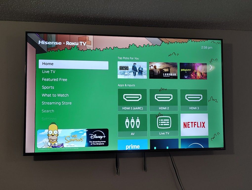 55" Roku Flat Screen Smart TV