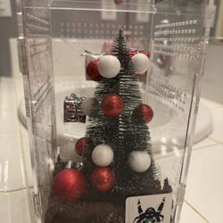 Christmas Themed Jumping Spider Enclosure