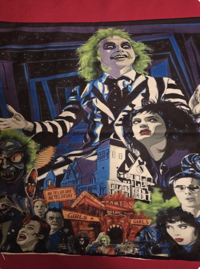 Beetlejuice Pillowcase (17”X17”)