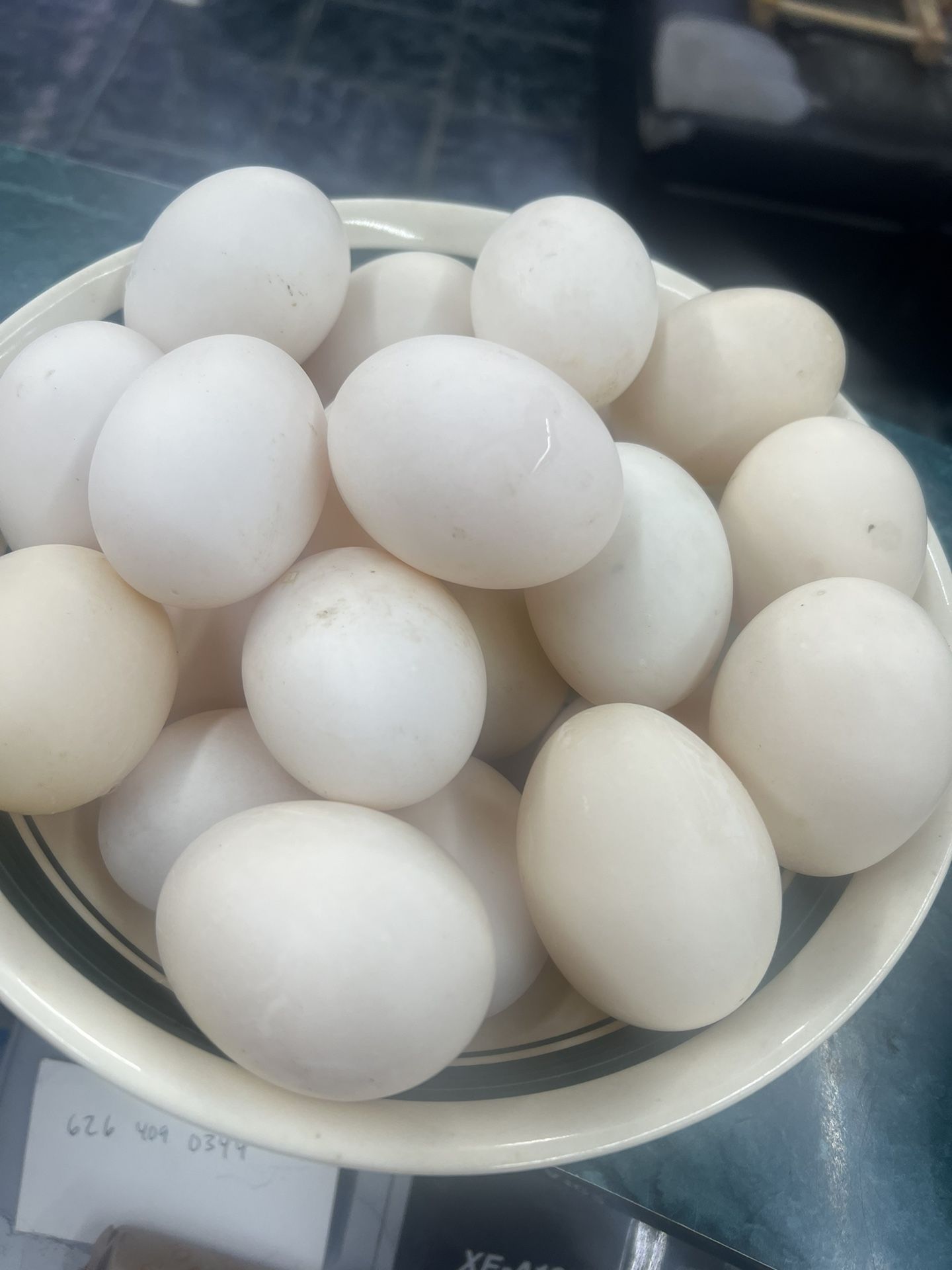 huevos de pato